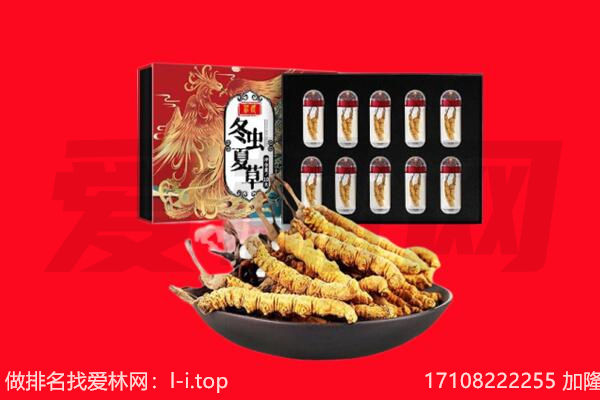 商洛回收虫草.jpg